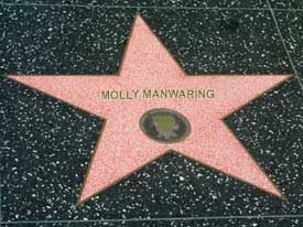 hollywood star