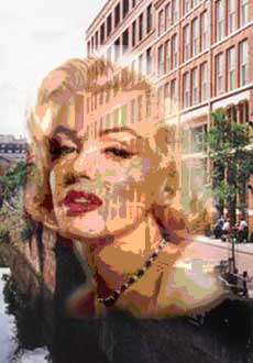 marilyn canal st