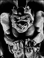 gargoyle thumbnail