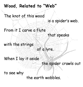 woodweb text and spider